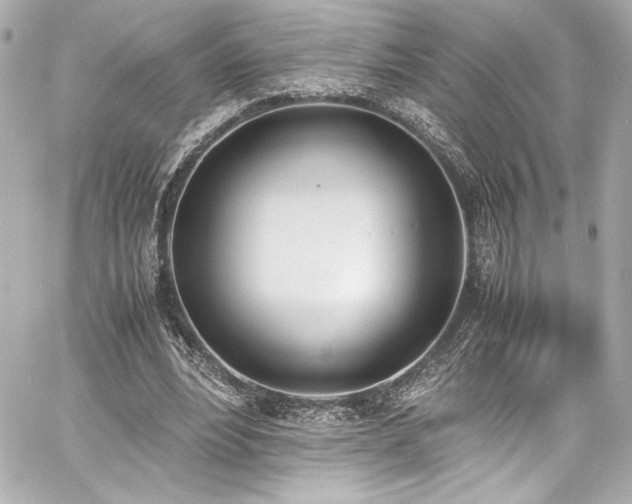 X0000060800488200511101423