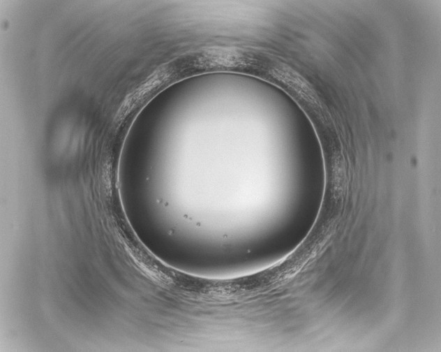 X0000060800489200511101423