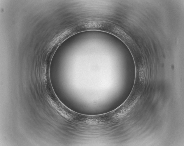 X0000060800490200511101423