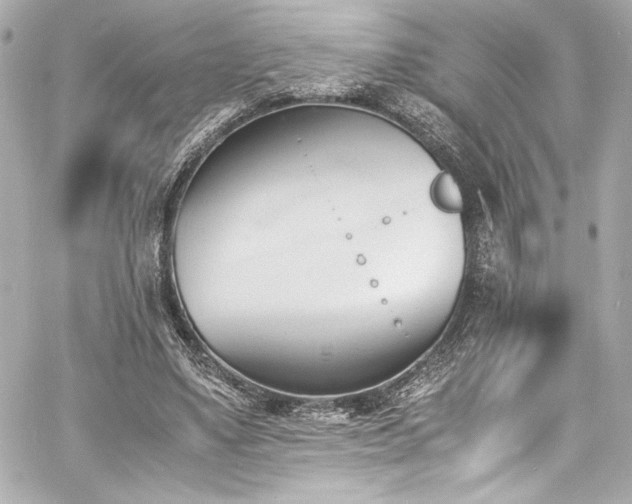 X0000060800491200511101423