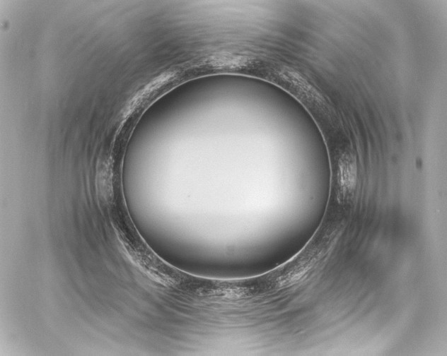 X0000060800492200511101423