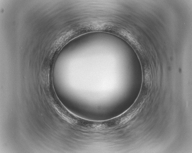 X0000060800493200511101423