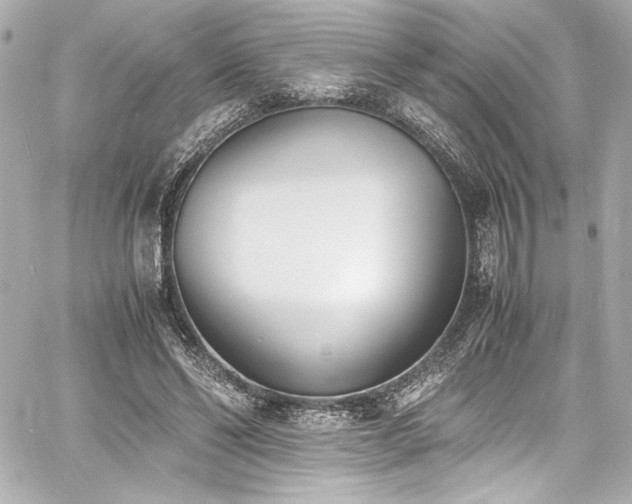 X0000060800494200511101423