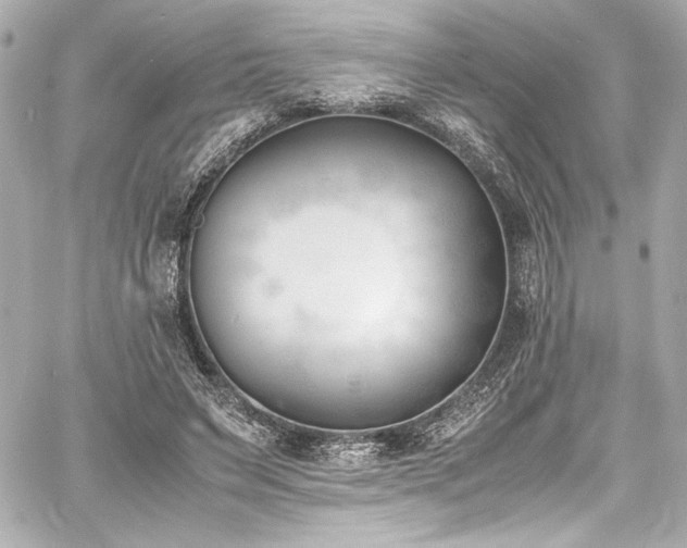 X0000060800495200511101423