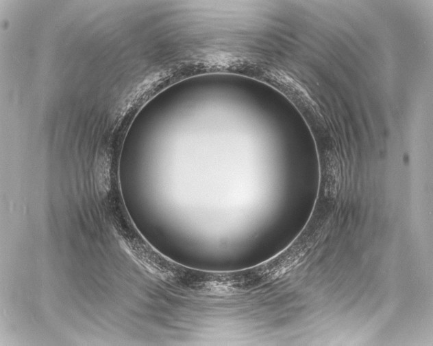 X0000060800496200511101423