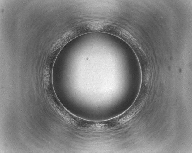 X0000060800497200511101423