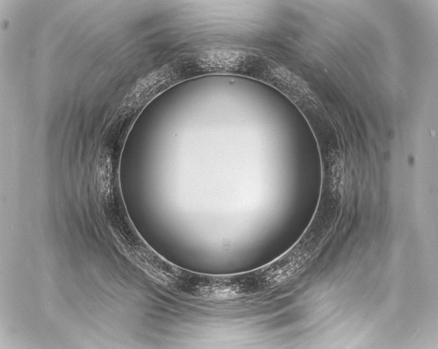 X0000060800498200511101423