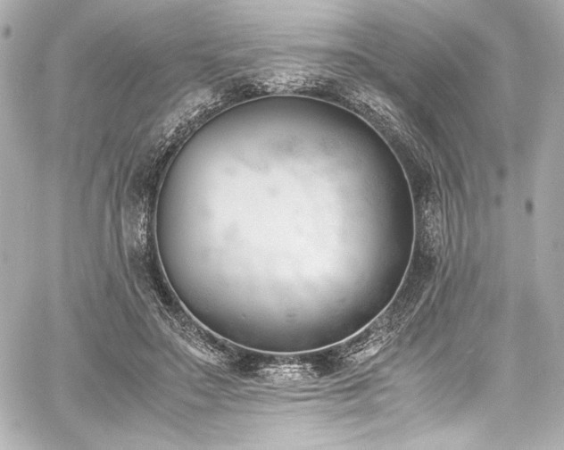 X0000060800499200511101423