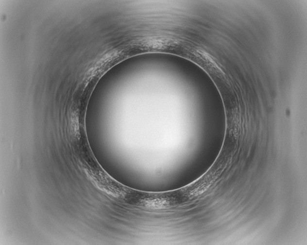 X0000060800500200511101423