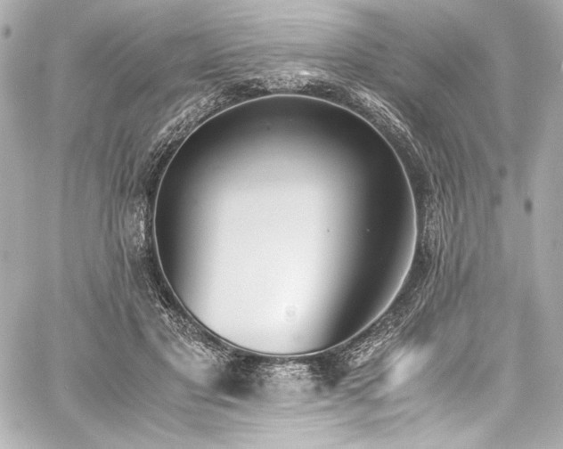 X0000060800501200511101423