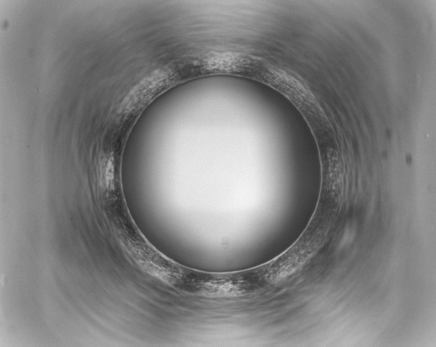 X0000060800502200511101423