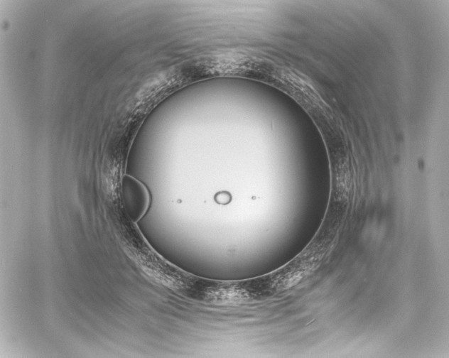 X0000060800503200511101423