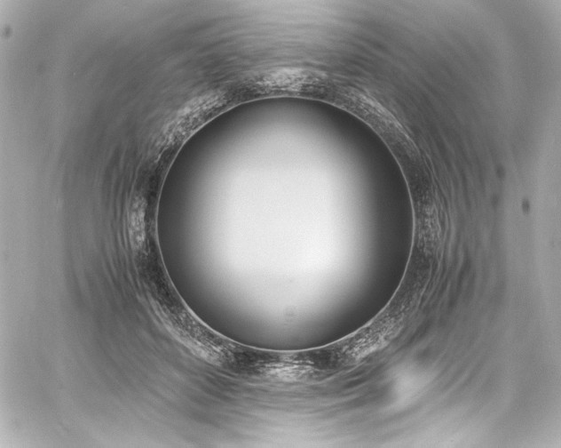 X0000060800504200511101423