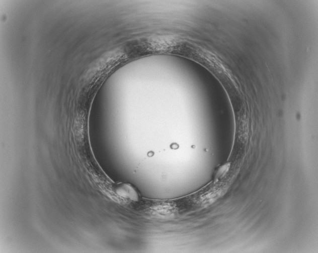 X0000060800505200511101423