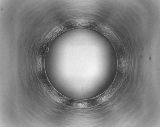 X0000060800506200511101422