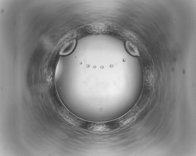 X0000060800507200511101422