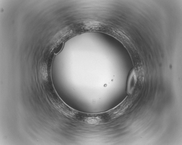 X0000060800508200511101422