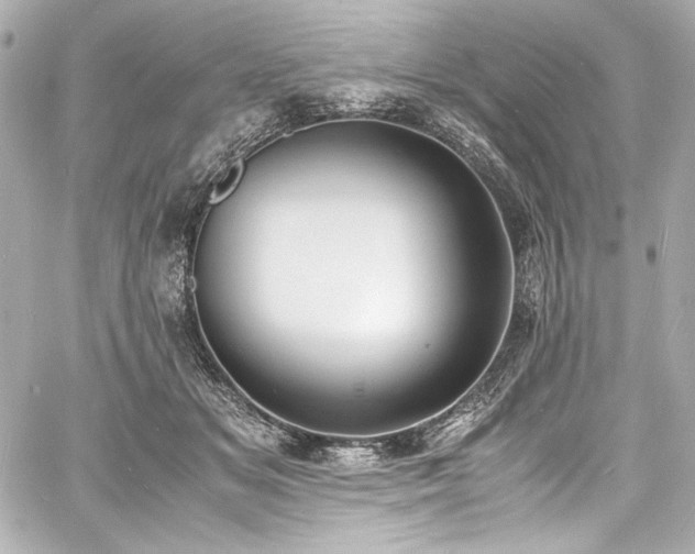 X0000060800509200511101422