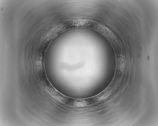 X0000060800510200511101422