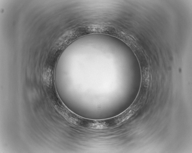 X0000060800511200511101422