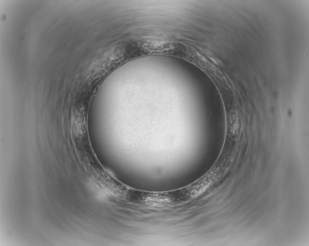 X0000060800515200511101422