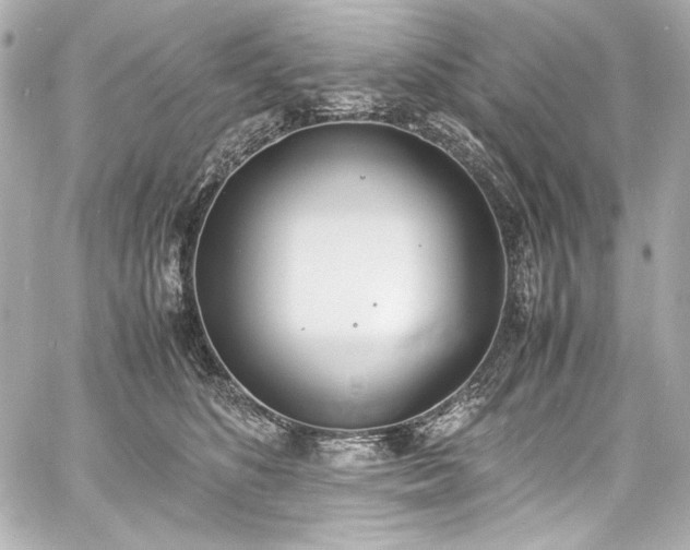 X0000060800516200511101422