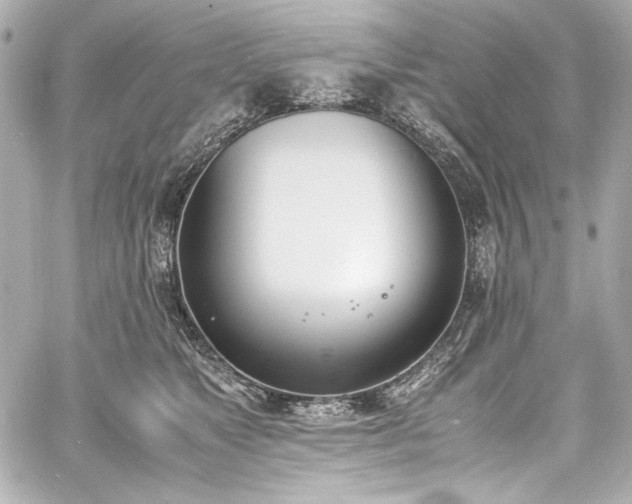 X0000060800517200511101422