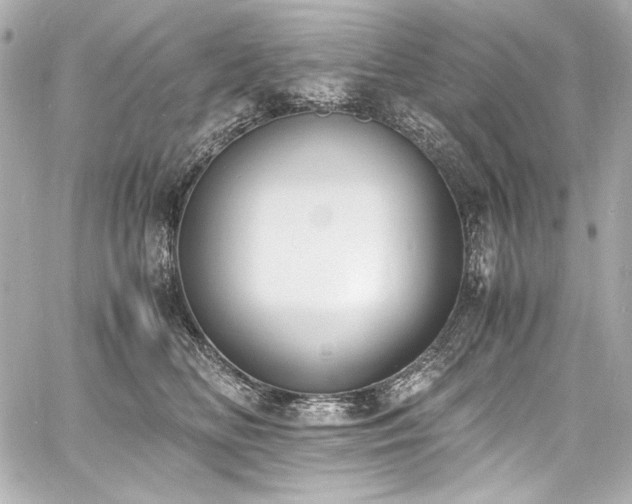 X0000060800518200511101422