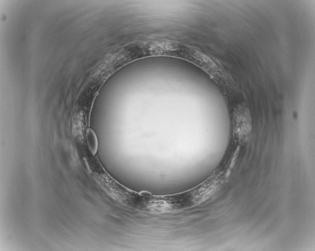 X0000060800519200511101422