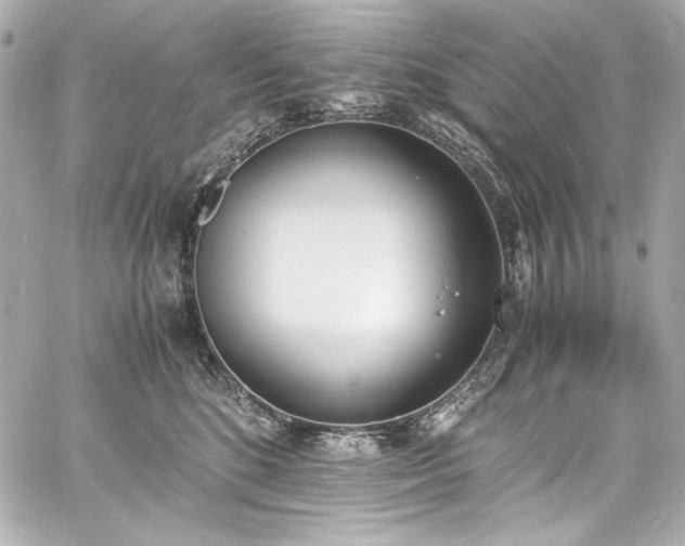 X0000060800520200511101422