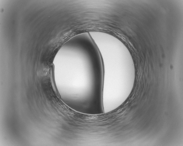 X0000060800521200511101422