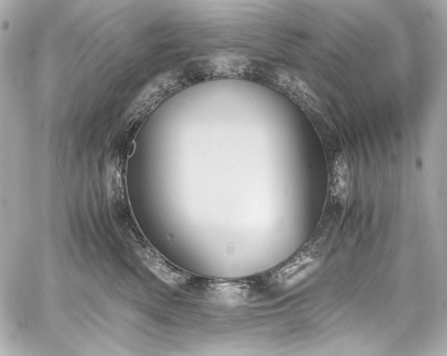 X0000060800522200511101422