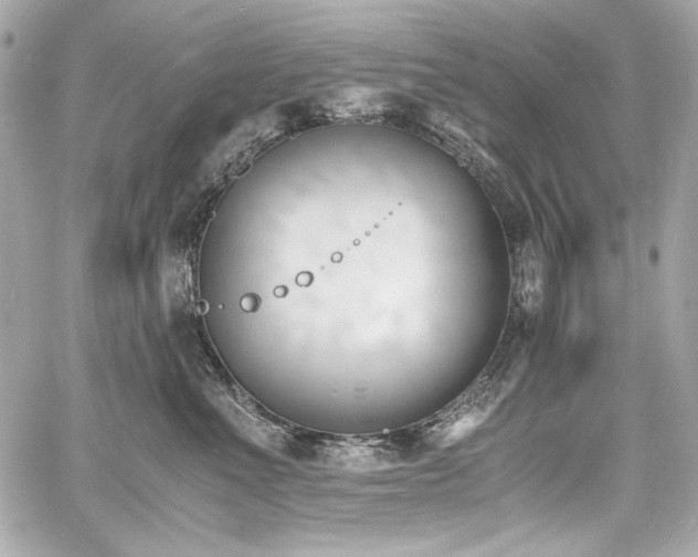 X0000060800523200511101422