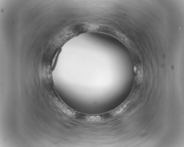 X0000060800525200511101422