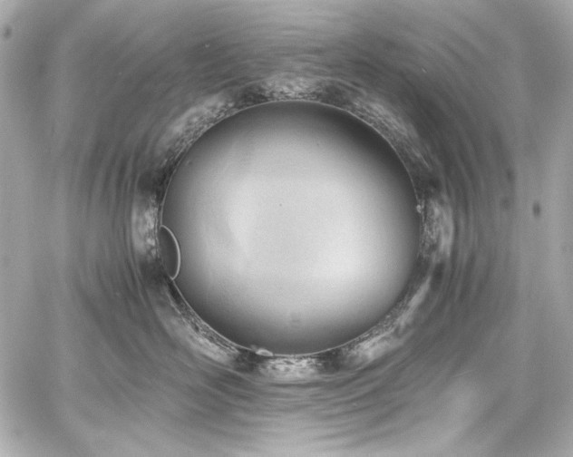 X0000060800526200511101422