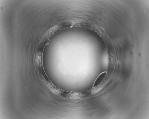 X0000060800527200511101422