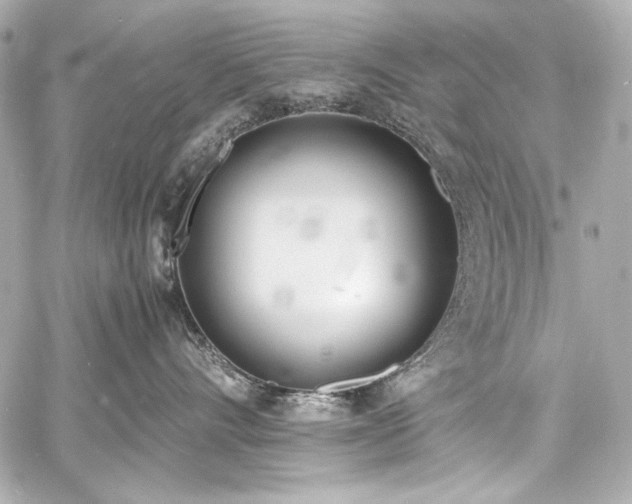 X0000060800528200511101422