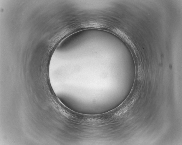 X0000060800529200511101421