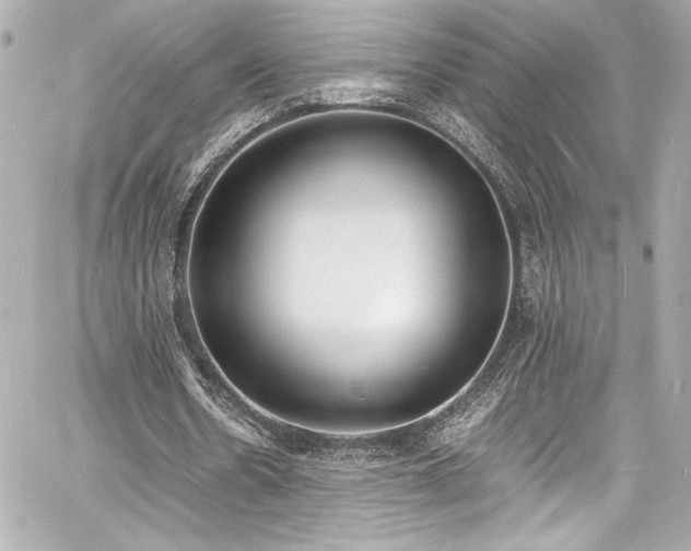 X0000060800530200511101421