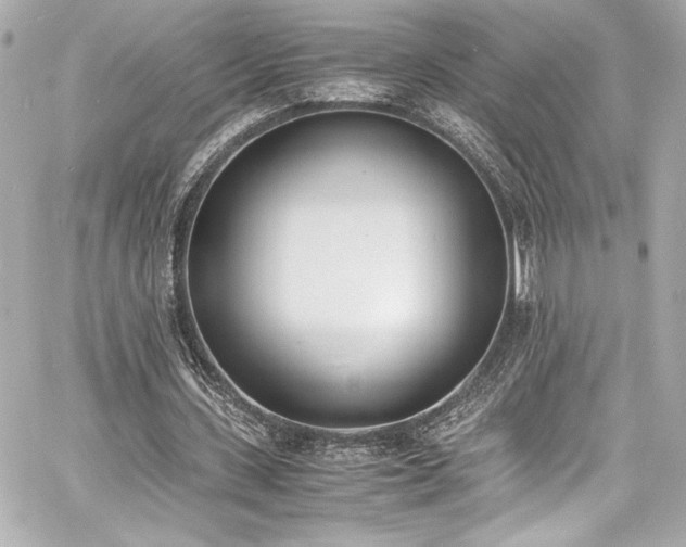 X0000060800531200511101421