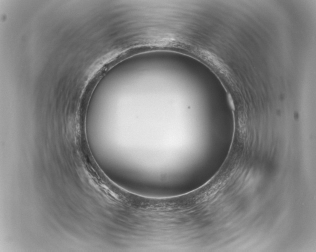 X0000060800532200511101421