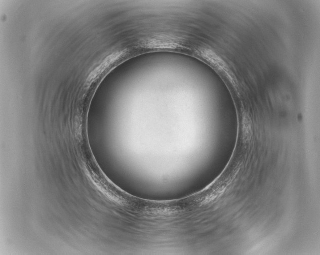 X0000060800533200511101421