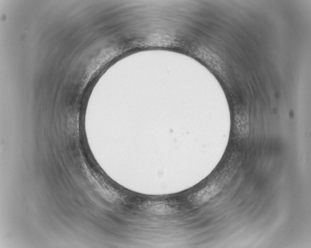 X0000060800534200511101421