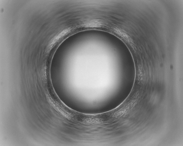 X0000060800535200511101421