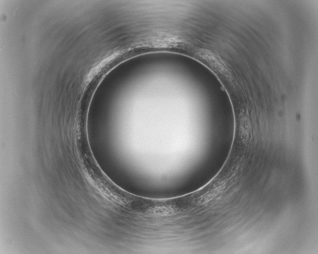 X0000060800536200511101421