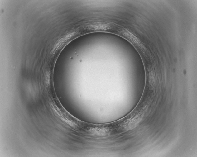 X0000060800537200511101421