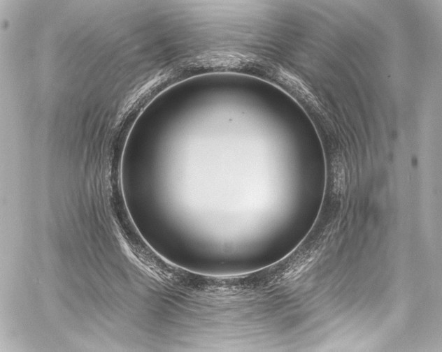 X0000060800538200511101421