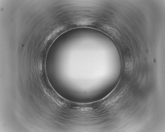 X0000060800539200511101421