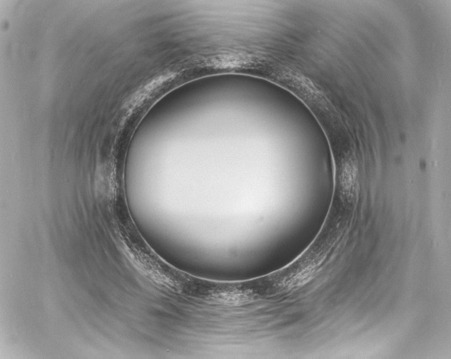 X0000060800540200511101421