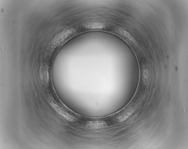 X0000060800541200511101422